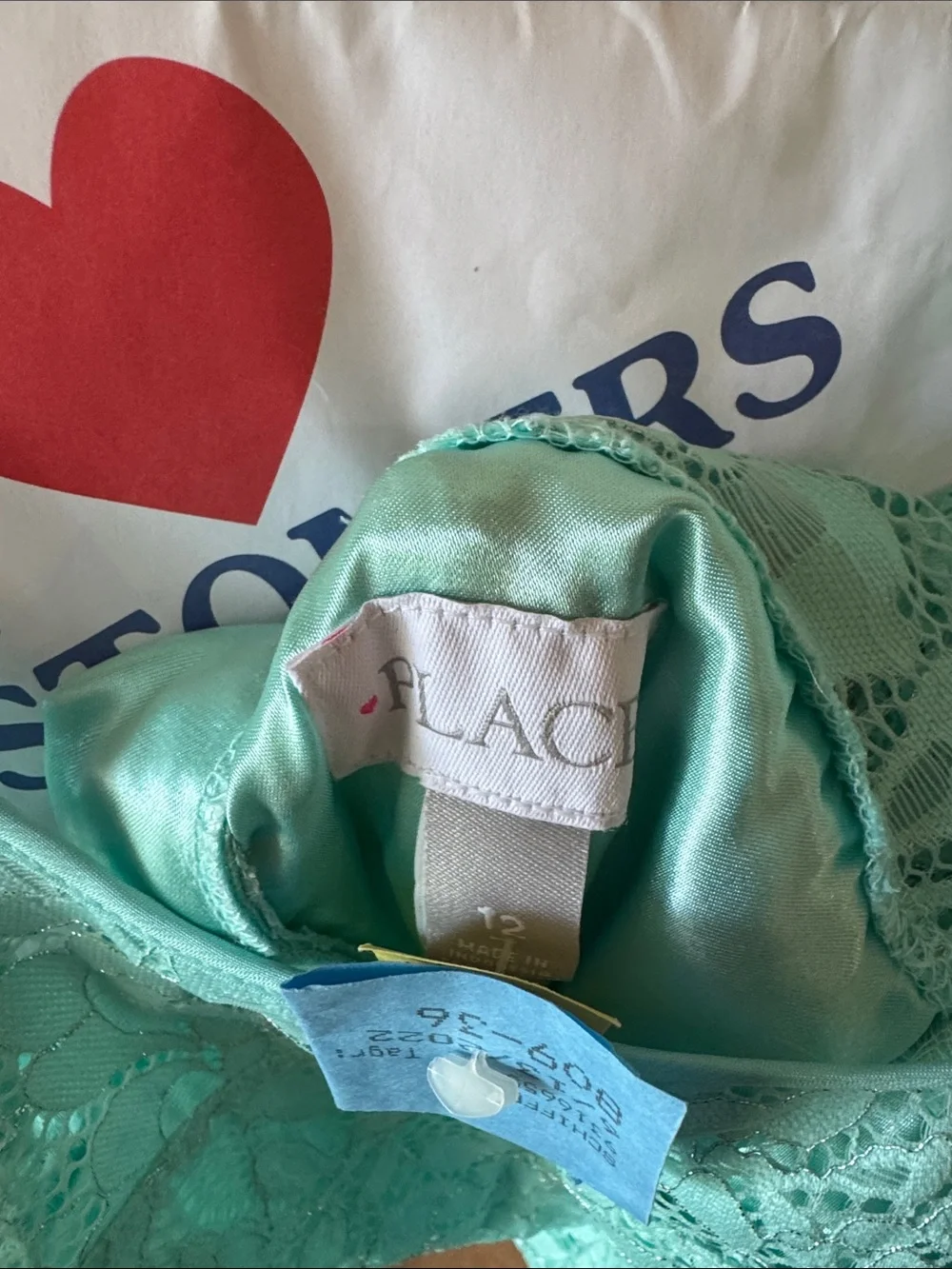 The Children's Place Mint Lace Fit & Flare Dress